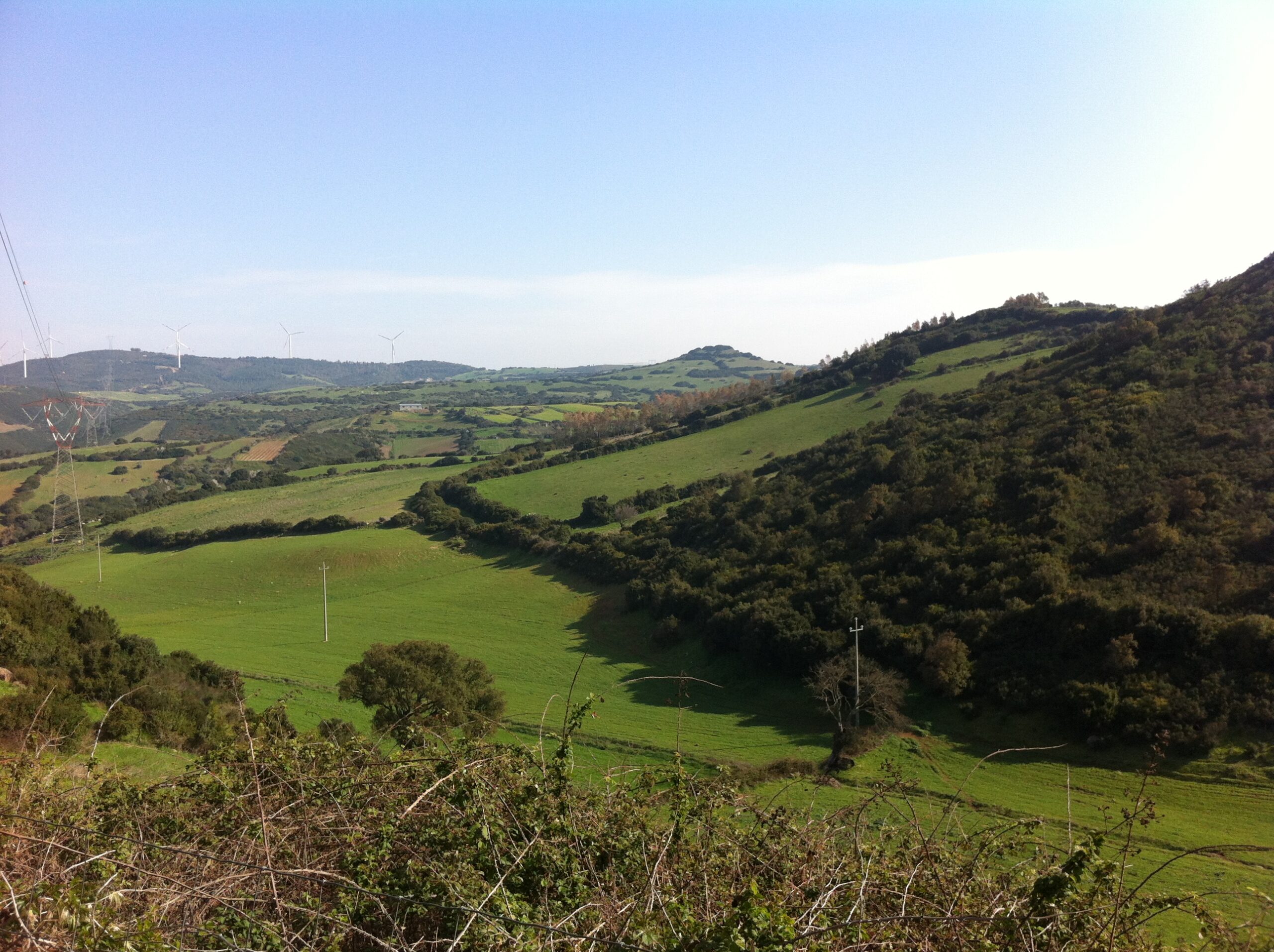 The Green Hills surrounding Mogorella (OR) - La Porta Blu Sardinia